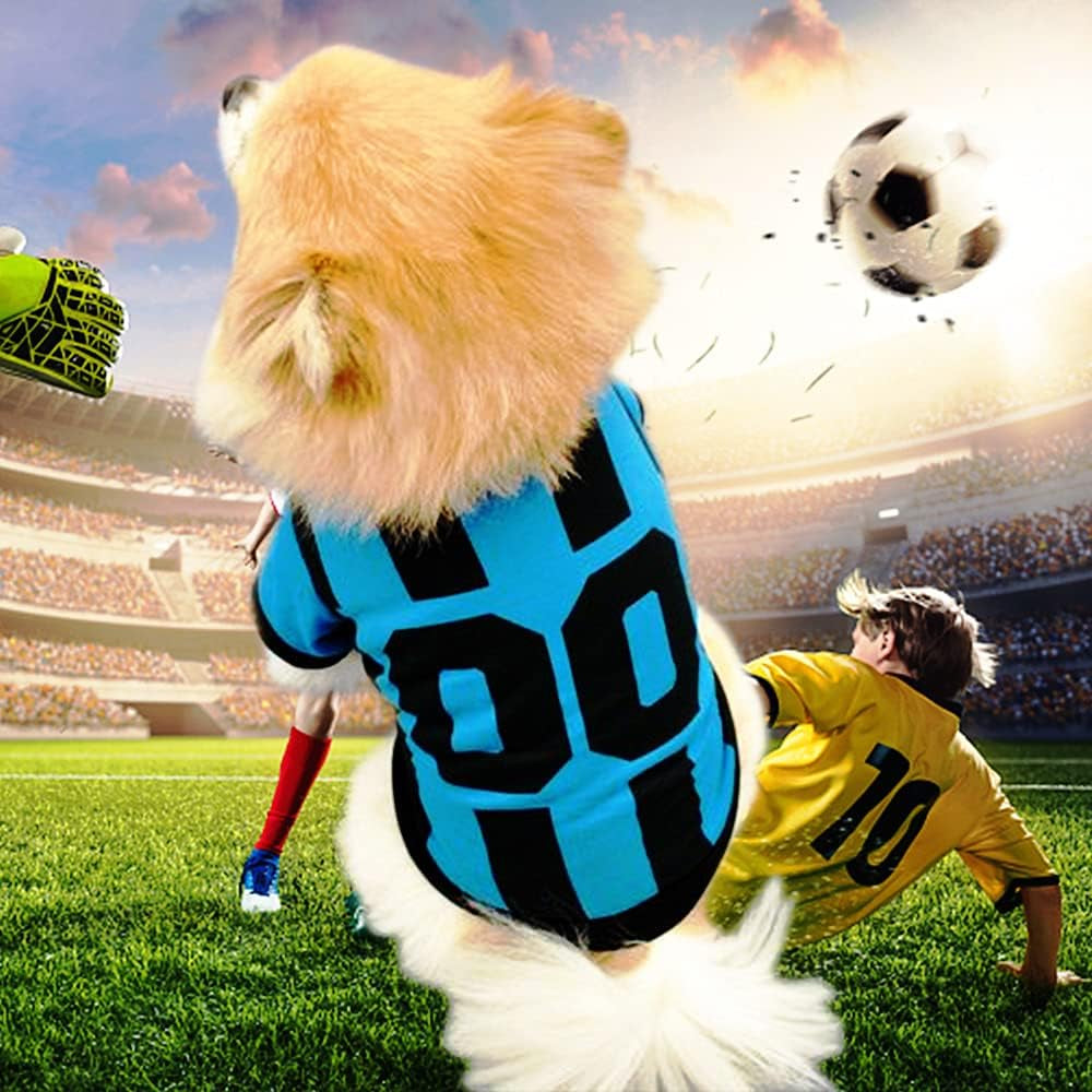 3 Piece Pet Dog Clothes for Small Dogs Girl Boy Puppy Shirt Male Female Outfits Cat Clothing Apparel for Teacup Rench Bulldog Yorkie Breed (XS)